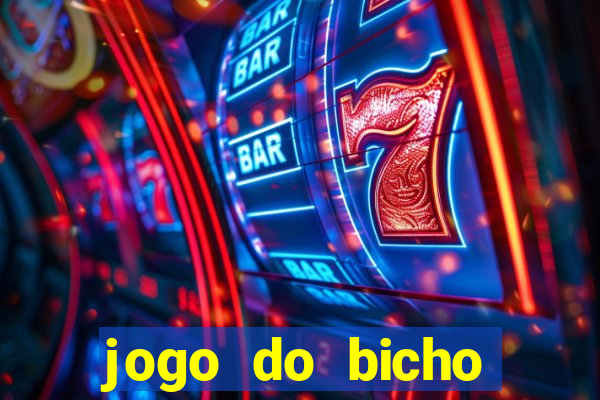 jogo do bicho crash bingo